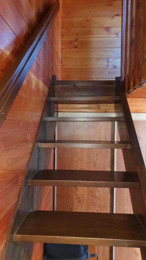 Chalet Individuel Les Sorbiers - 80M2 - Jardin - Barbecue - Wifi - Netflix - Ski & Randonnee - Pyrenees Catalanes Francaises - Eyne Eksteriør billede